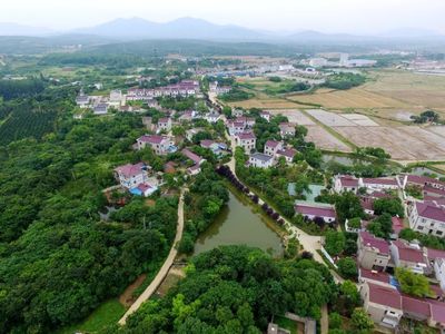 植綠不止，春山可望！馬鞍山市這個縣扛起高質(zhì)量發(fā)展“綠色擔當”